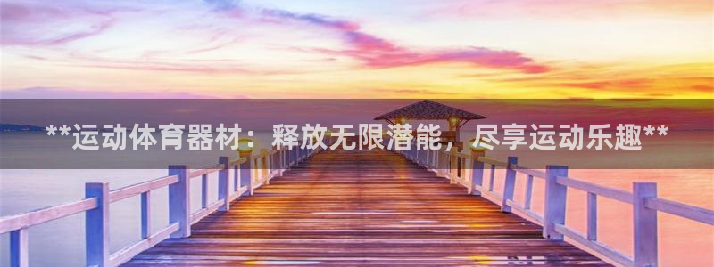 极悦平台是什么平台的：**运动体育器材：释放无限潜能