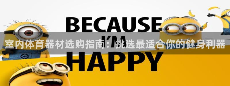 极悦娱乐负责人：室内体育器材选购指南：挑选最适合你的