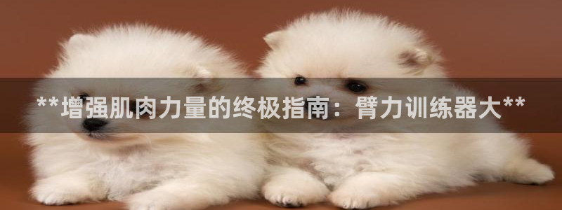 极悦娱乐：**增强肌肉力量的终极指南：臂力训练器大*