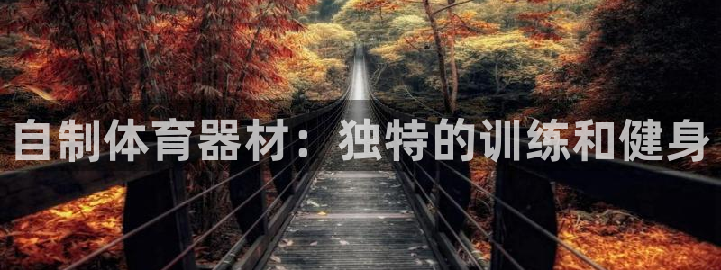 极悦平台注册流程图：自制体育器材：独特的训练和健身