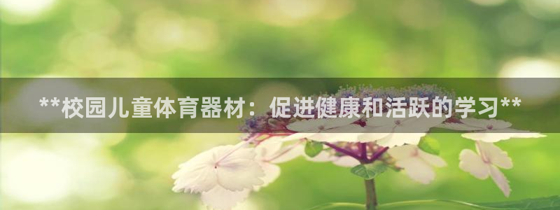 极悦平台注册官方网站下载安卓手机：**校园儿童体育器