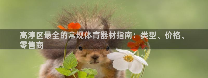 极悦平台登录入口注册账号：高淳区最全的常规体育器材指