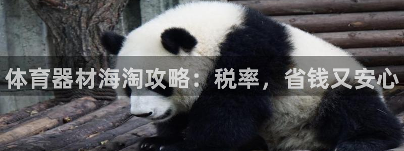 极悦平台官方网站登录网址：体育器材海淘攻略：税率，省