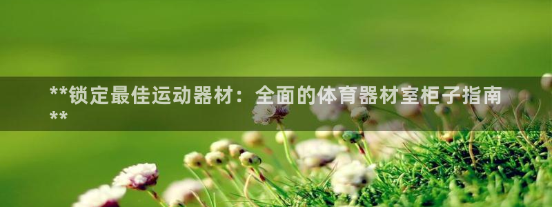极悦平台官方网站首页：**锁定最佳运动器材：全面的体