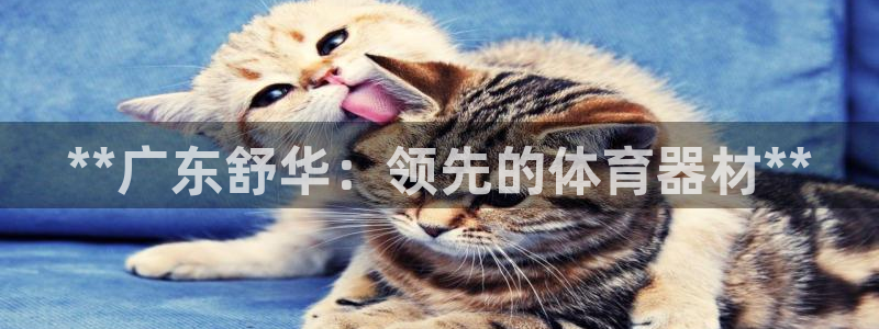 极悦平台用户反馈和反馈一样吗：**广东舒华：领先的体