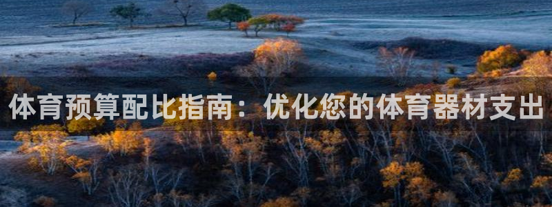 极悦平台平台注册方法与步骤：体育预算配比指南：优化您