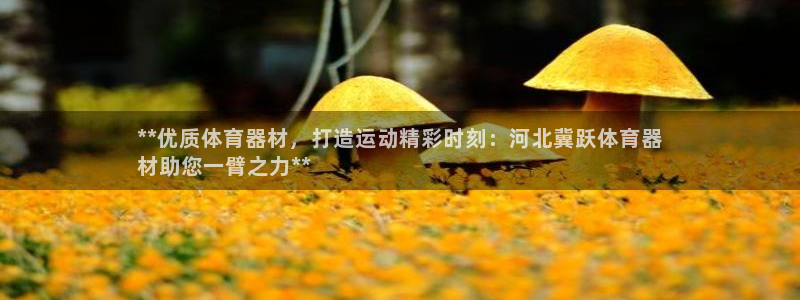 极悦娱乐挂机赚钱是真的吗安全吗：**优质体育器材，打