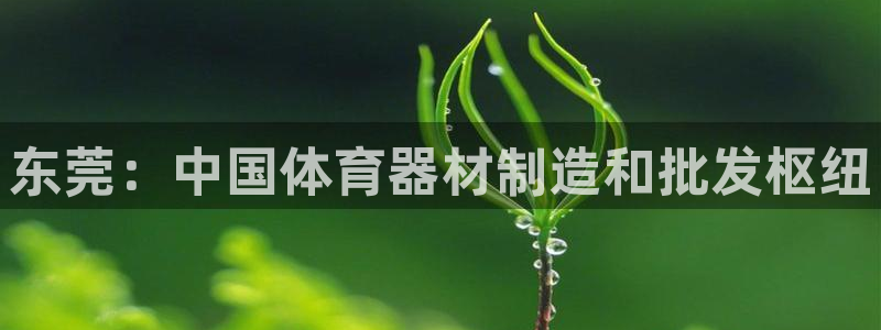 极悦娱乐创始人背景故事简介：东莞：中国体育器材制造和