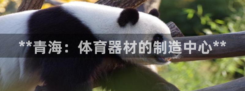 极悦平台使用教程图解：**青海：体育器材的制造中心**