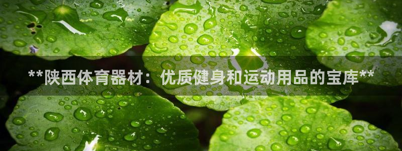 极悦平台官方网站首页：**陕西体育器材：优质健身和运