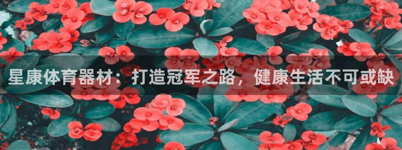极悦平台注册申请流程详解图：星康体育器材：打造冠军之