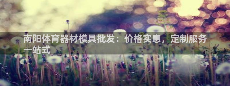 极悦平台官网入口网址：南阳体育器材模具批发：价格实惠