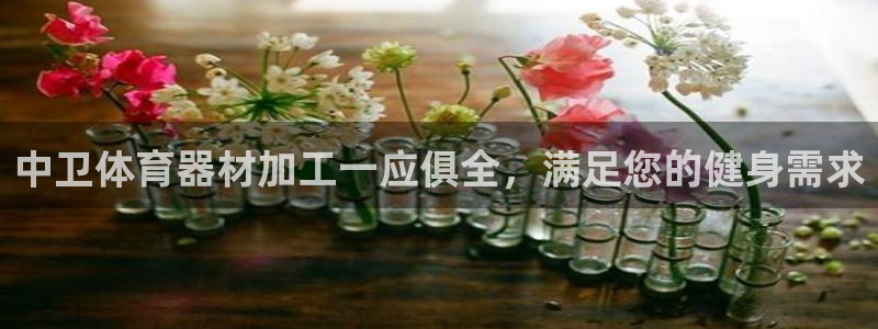 极悦平台好7.0.2.4怎么样：中卫体育器材加工一应