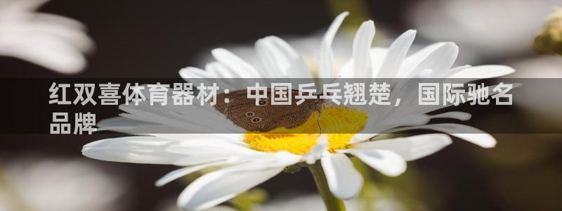 极悦平台官网下载中心网址：红双喜体育器材：中国乒乓翘