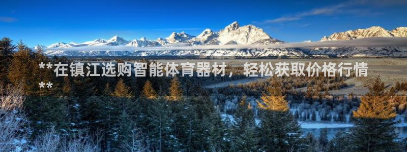极悦娱乐的背景和历史背景：**在镇江选购智能体育器材