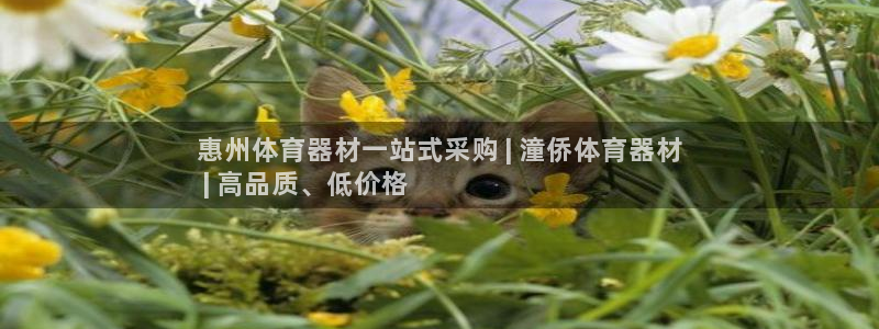 极悦娱乐贴吧：惠州体育器材一站式采购 | 潼侨体育器