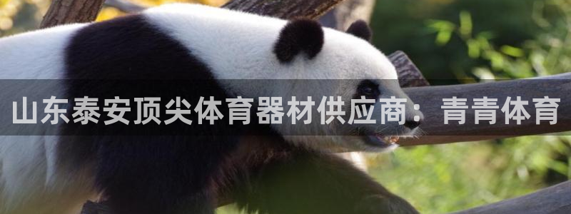 极悦官方网站app下载安卓：山东泰安顶尖体育器材供应