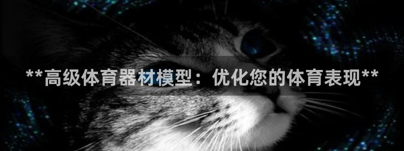无锡极悦科技有限公司：**高级体育器材模型：优化您的