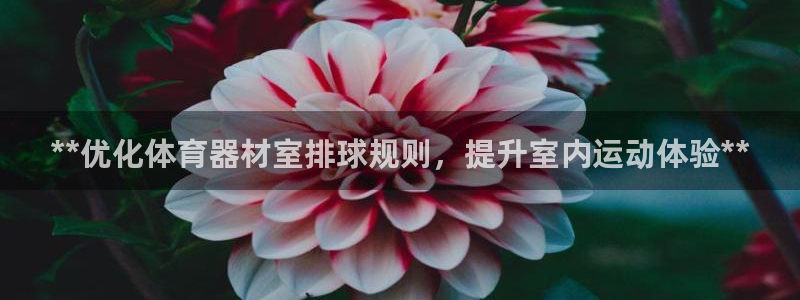 极悦娱乐百科百度贴吧：**优化体育器材室排球规则，提