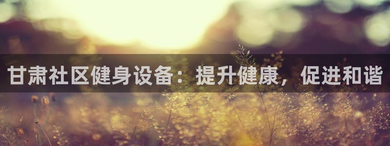 极悦娱乐游戏中心：甘肃社区健身设备：提升健康，促进和