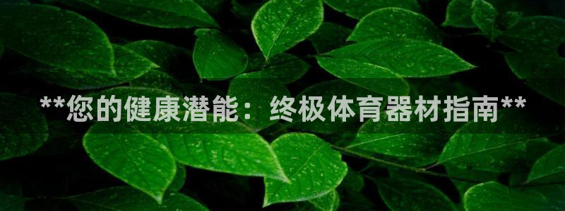 极悦平台客服团队名称：**您的健康潜能：终极体育器材
