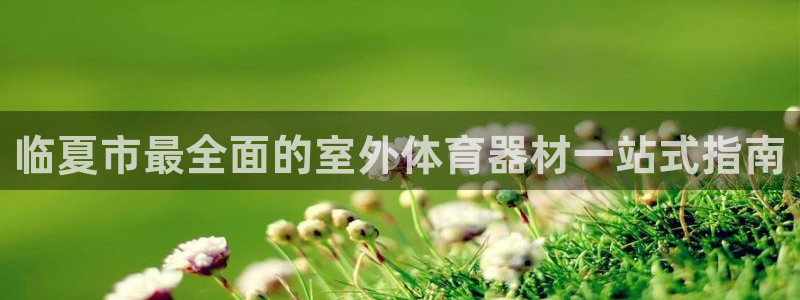 极悦平台注册失败如何解决：临夏市最全面的室外体育器材