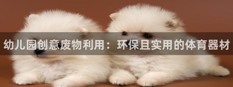 极悦平台是什么平台的：幼儿园创意废物利用：环保且实用