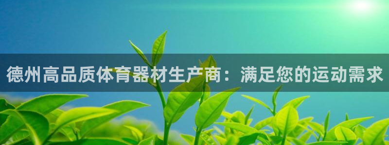 极悦平台官方网站入口下载：德州高品质体育器材生产商：