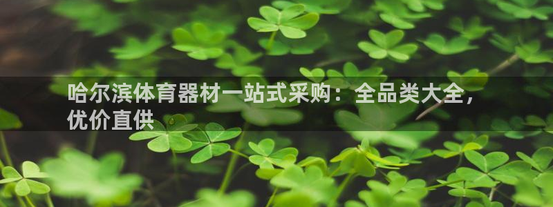极悦娱乐代理多少钱一个月：哈尔滨体育器材一站式采购：