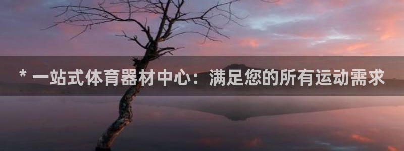 极悦平台注册用户名生成器下载：* 一站式体育器材中心