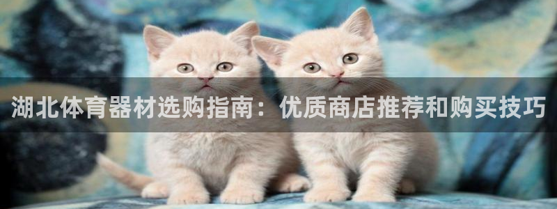 极悦平台网址皮皮虾下载：湖北体育器材选购指南：优质商