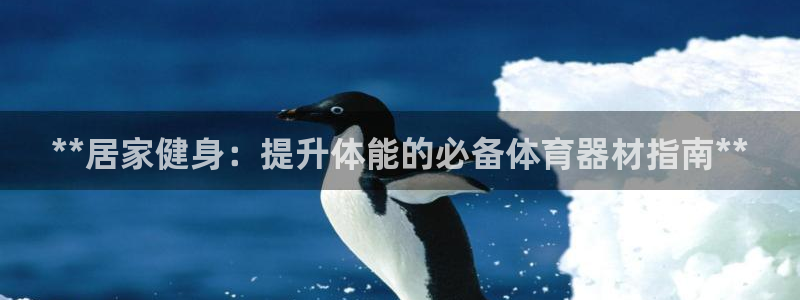 极悦平台官网登录入口网址查询：**居家健身：提升体能