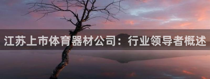 极悦官方网站：江苏上市体育器材公司：行业领导者概述