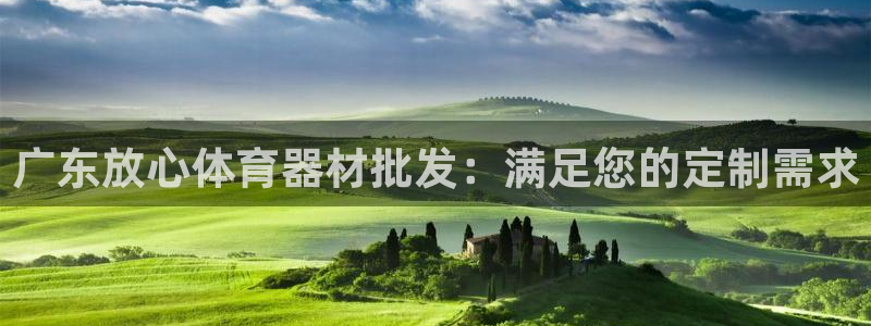 极悦平台代理怎么做的：广东放心体育器材批发：满足您的