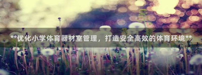 极悦娱乐会被骗吗知乎小说：**优化小学体育器材室管理