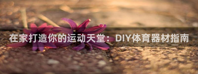 极悦娱乐官网下载app：在家打造你的运动天堂：DIY