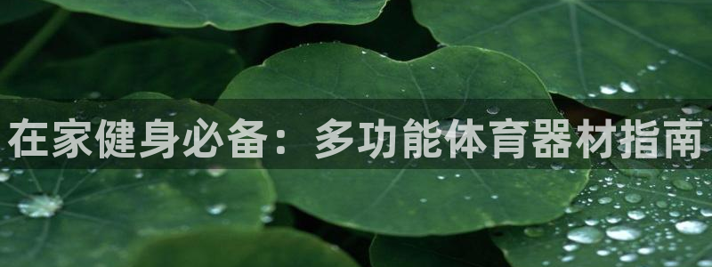 极悦平台官网登录网址查询：在家健身必备：多功能体育器