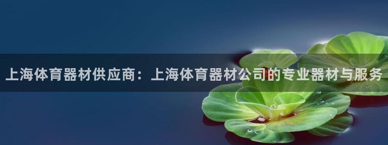 极悦娱乐股东：上海体育器材供应商：上海体育器材公司的
