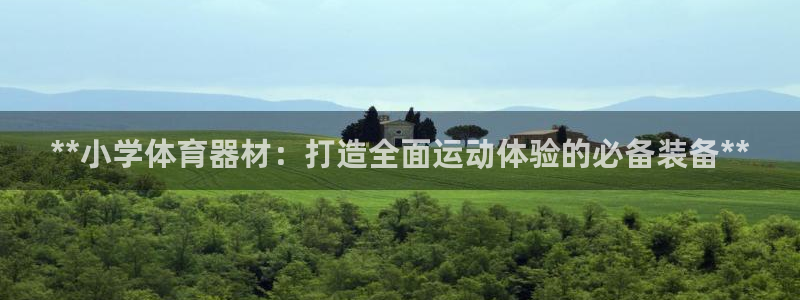 极悦平台注册太7.0.2.4好用吗：**小学体育器材