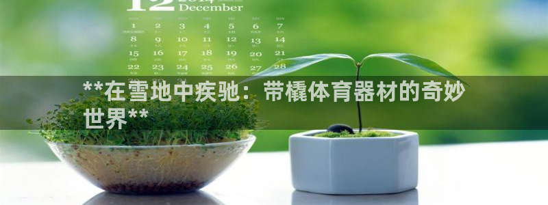 极悦娱乐下载官网：**在雪地中疾驰：带橇体育器材的奇