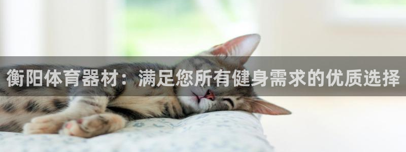 极悦娱乐官网入口：衡阳体育器材：满足您所有健身需求的