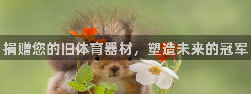 极悦平台注册流程视频：捐赠您的旧体育器材，塑造未来的冠军