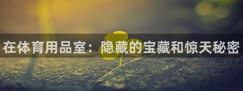 极悦平台有风险吗知乎：在体育用品室：隐藏的宝藏和惊天秘密