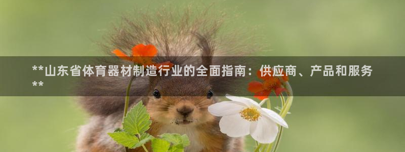 极悦娱乐app官方版本更新内容下载