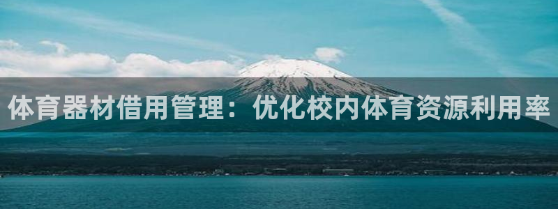 极悦平台安全吗可靠吗：体育器材借用管理：优化校内体育