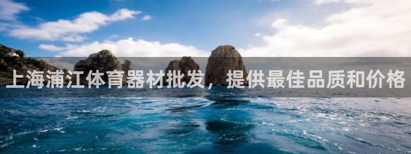 极悦平台官网入口网站：上海浦江体育器材批发，提供最佳