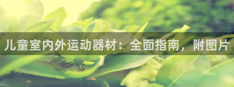 极悦娱乐官网最新版本更新内容视频：儿童室内外运动器材