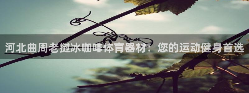 极悦平台是什么平台的：河北曲周老挝冰咖啡体育器材：您
