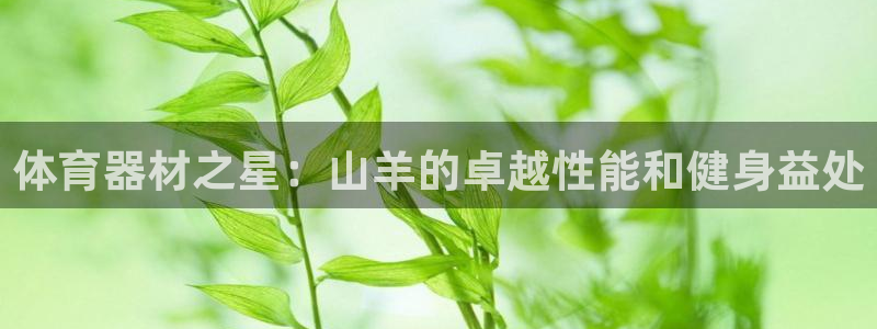 极悦平台客服的联系方式是多少：体育器材之星：山羊的卓