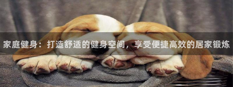极悦平台有风险吗现在：家庭健身：打造舒适的健身空间，